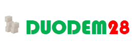 DUODEM 28